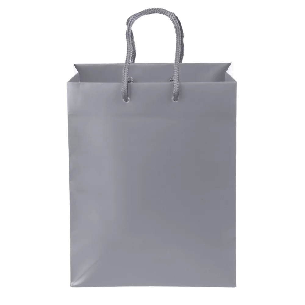 Berlin Matte Eurotote Bag (Dynamic Color)