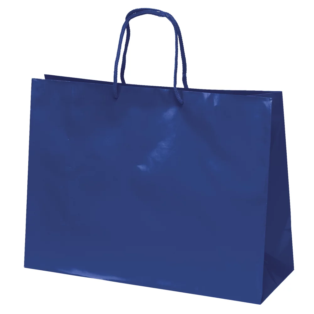 Tiara™ Gloss Eurotote Bag