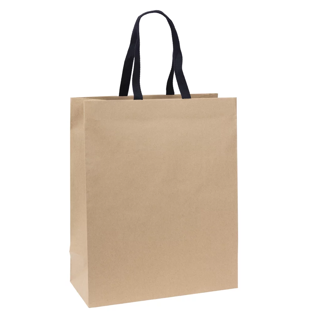 Eco Teak Cotton Twill-Handle Eco Eurotote (Chromatic)