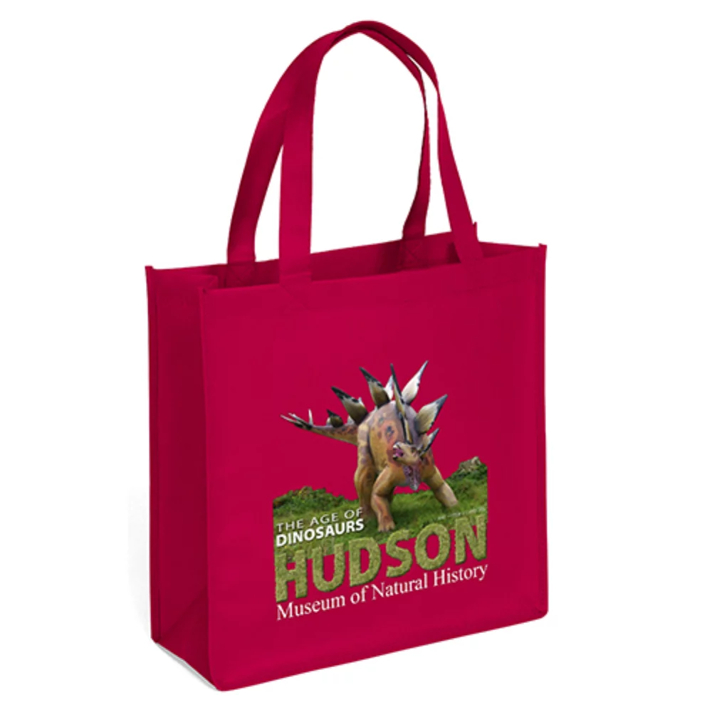 Abe Celebration Tote Bag (ColorVista)