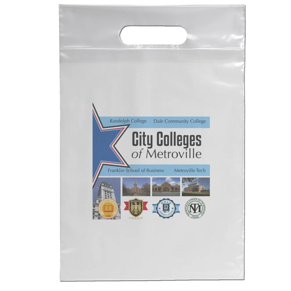 Die Cut Handle Bag 9"x14" (Dynamic Color)