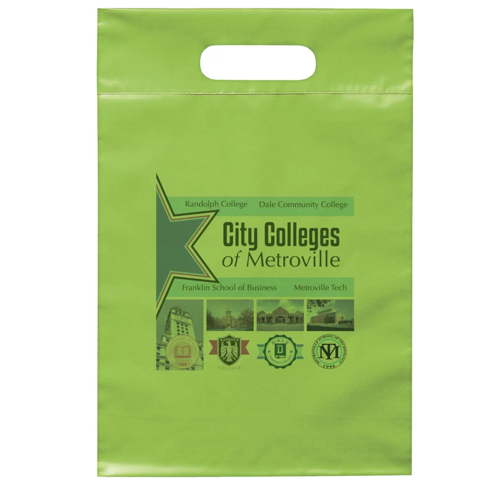 Die Cut Handle Bag 9"x14" (Dynamic Color)