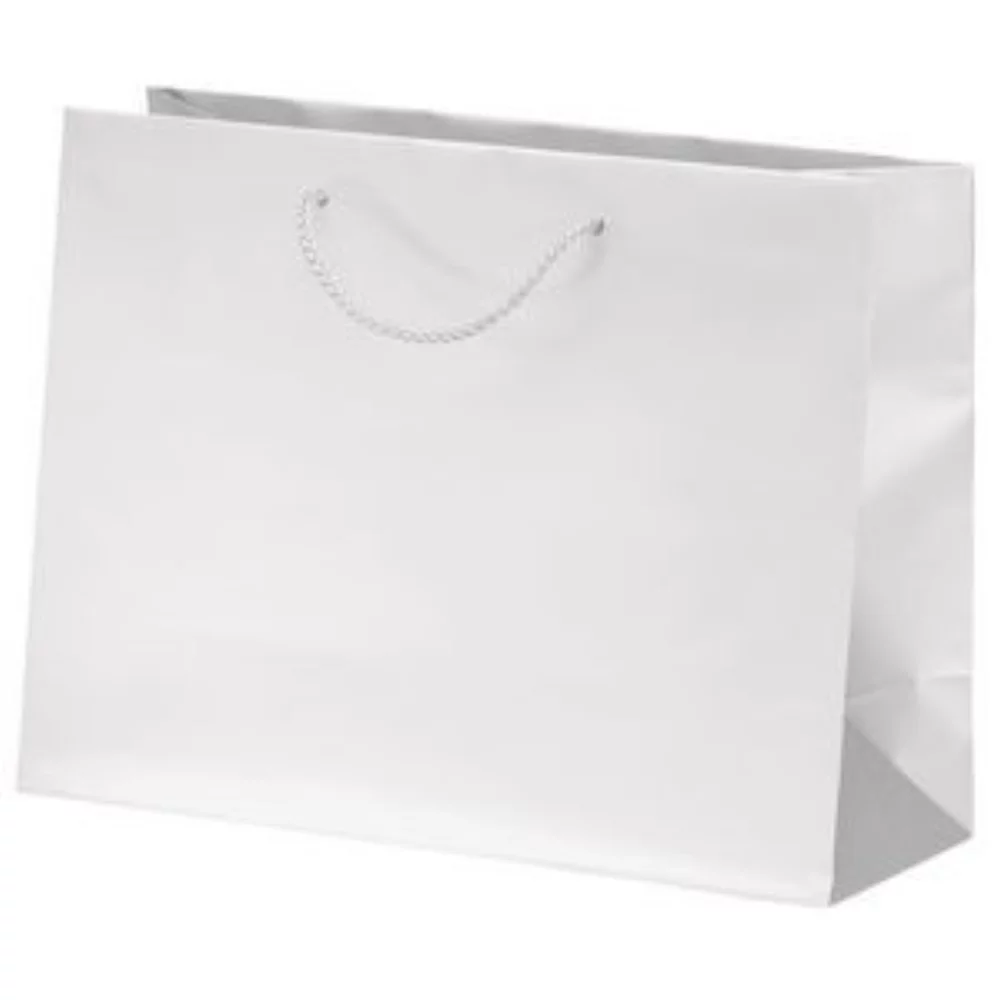 Rome Matte Eurototes Bag (Dynamic Color)