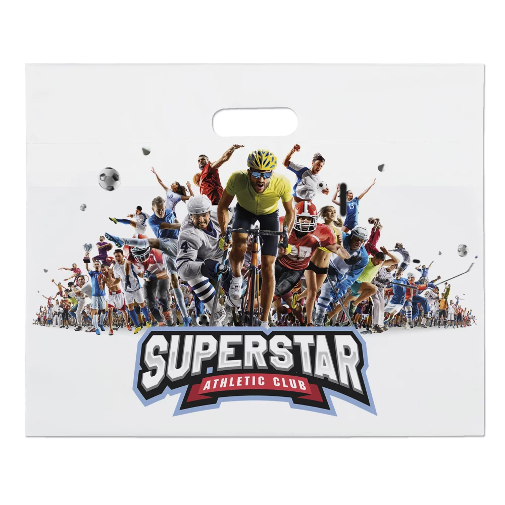 16w x 13h Digital Full-Color Die Cuts
