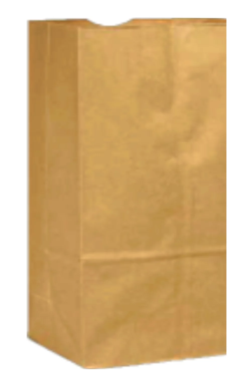 Panneau électoral de jardin $US Sacs en papier recyclé 1C1S (17x10.5x35)