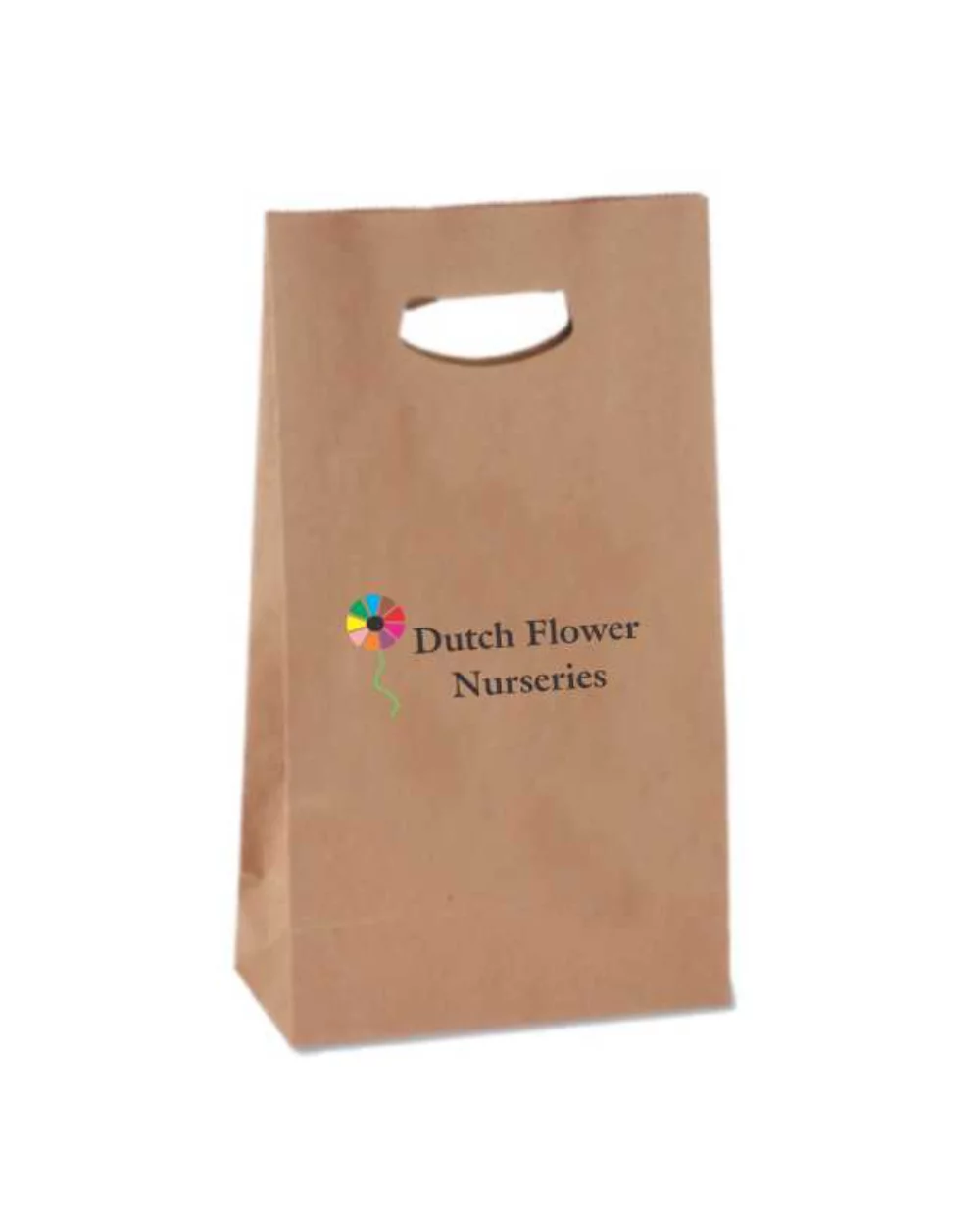 Natural Kraft Die Cut Handle Paper Bag w/Digital Print (8"x4"x13 5/8")