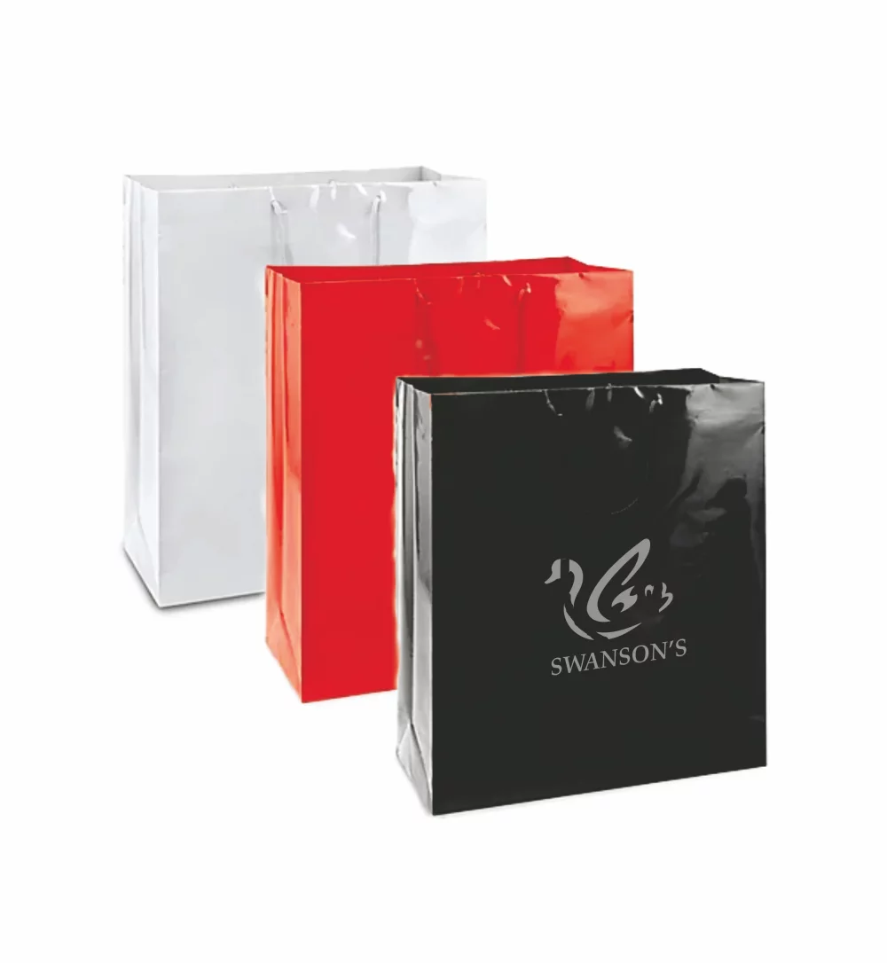 Sac cadeau avec poignée en corde brillante laminée (16"x6"x18")