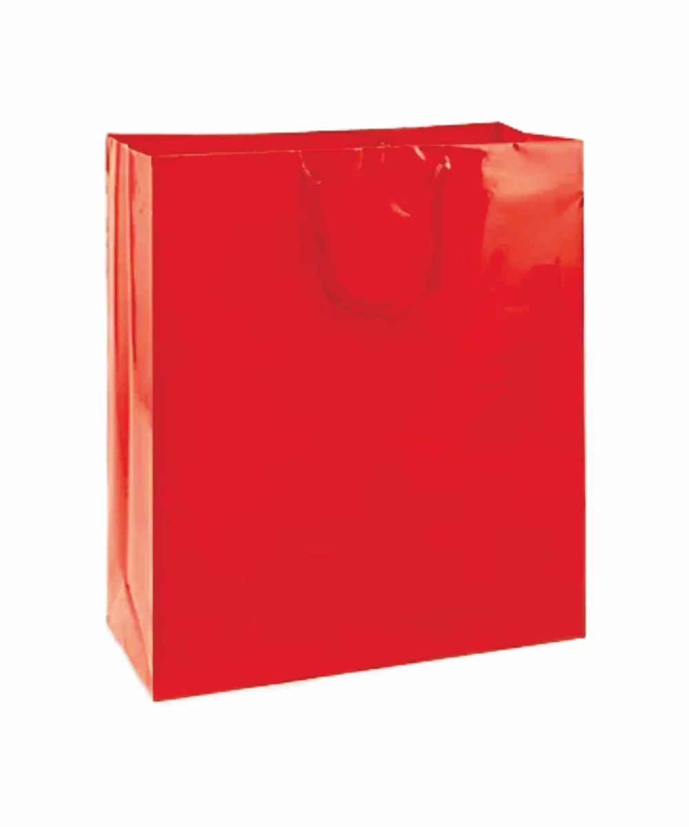 Sac cadeau avec poignée en corde brillante laminée (16"x6"x18")