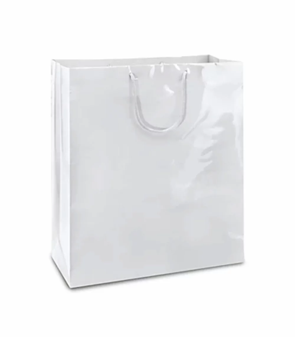 Sac cadeau avec poignée en corde brillante laminée (16"x6"x18")