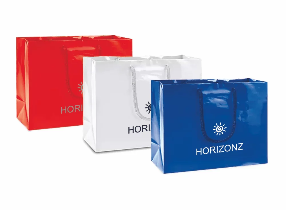 Laminated Gloss Rope Handle Gift Bag (13"x5"x10")