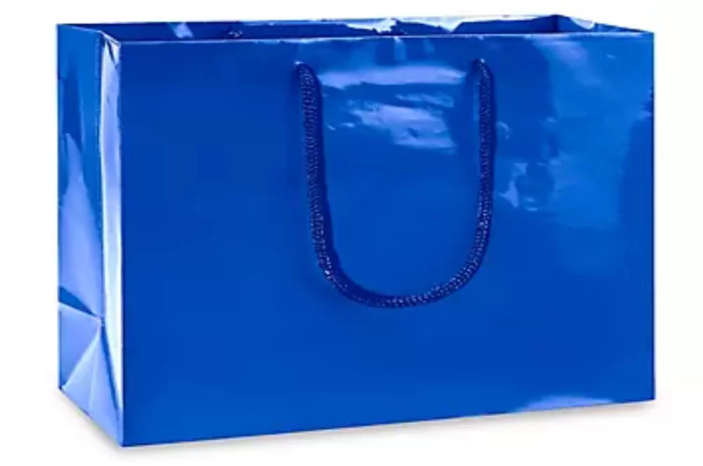 Laminated Gloss Rope Handle Gift Bag (13"x5"x10")