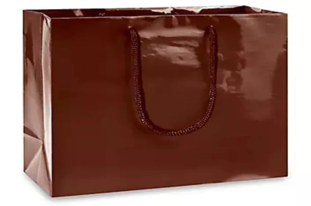 Laminated Gloss Rope Handle Gift Bag (13"x5"x10")