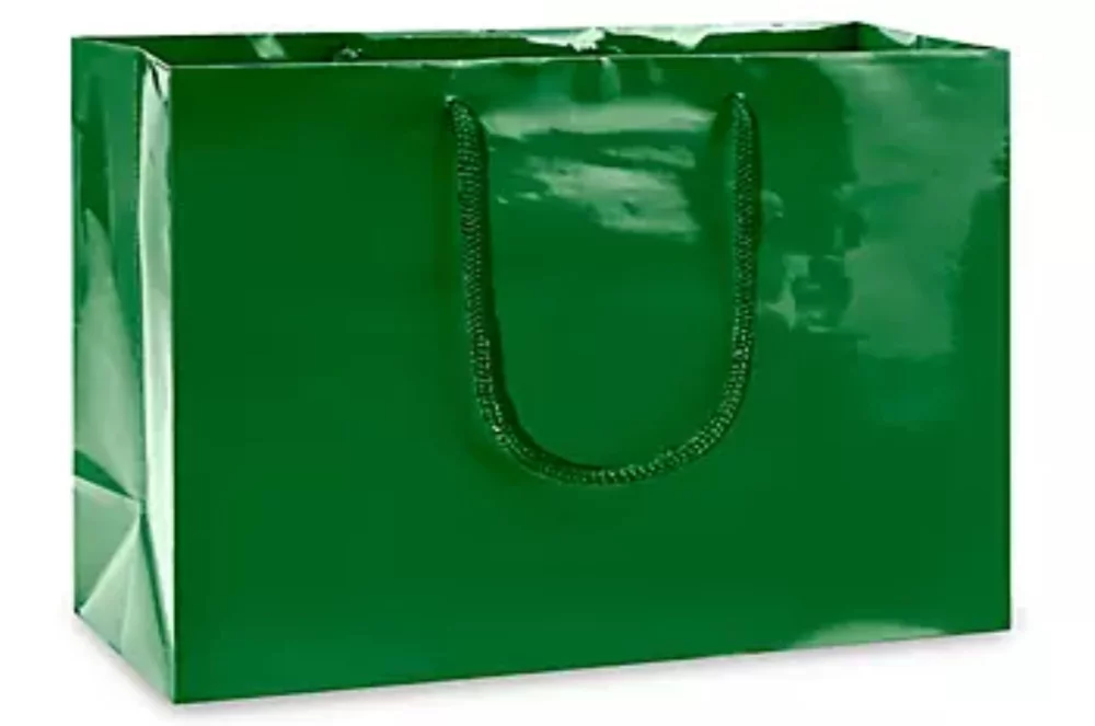 Laminated Gloss Rope Handle Gift Bag (13"x5"x10")