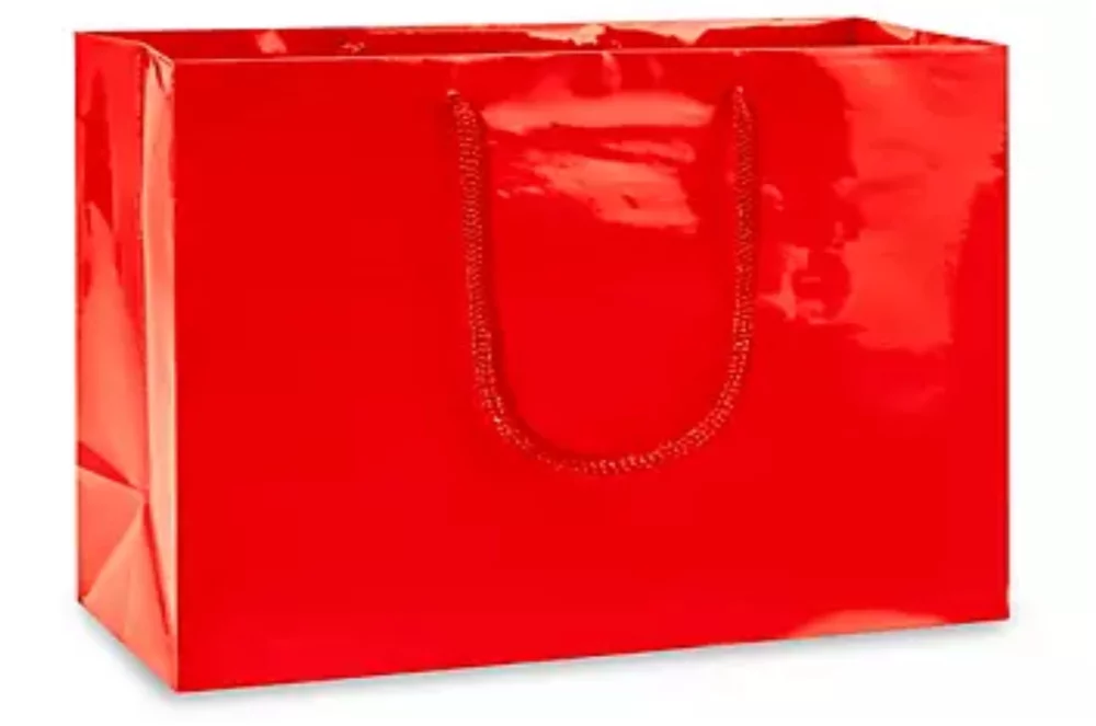 Laminated Gloss Rope Handle Gift Bag (13"x5"x10")