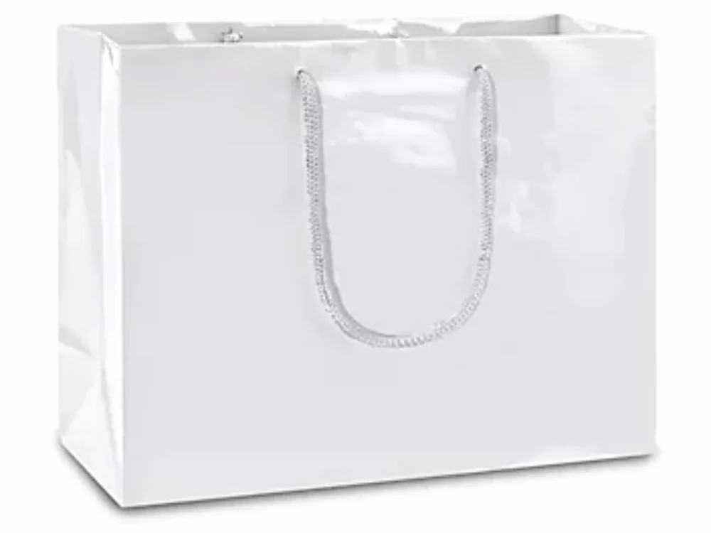 Laminated Gloss Rope Handle Gift Bag (13"x5"x10")