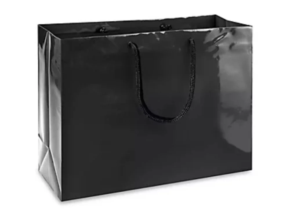 Laminated Gloss Colored Rope Handle Gift Bag (16"x6"x12")