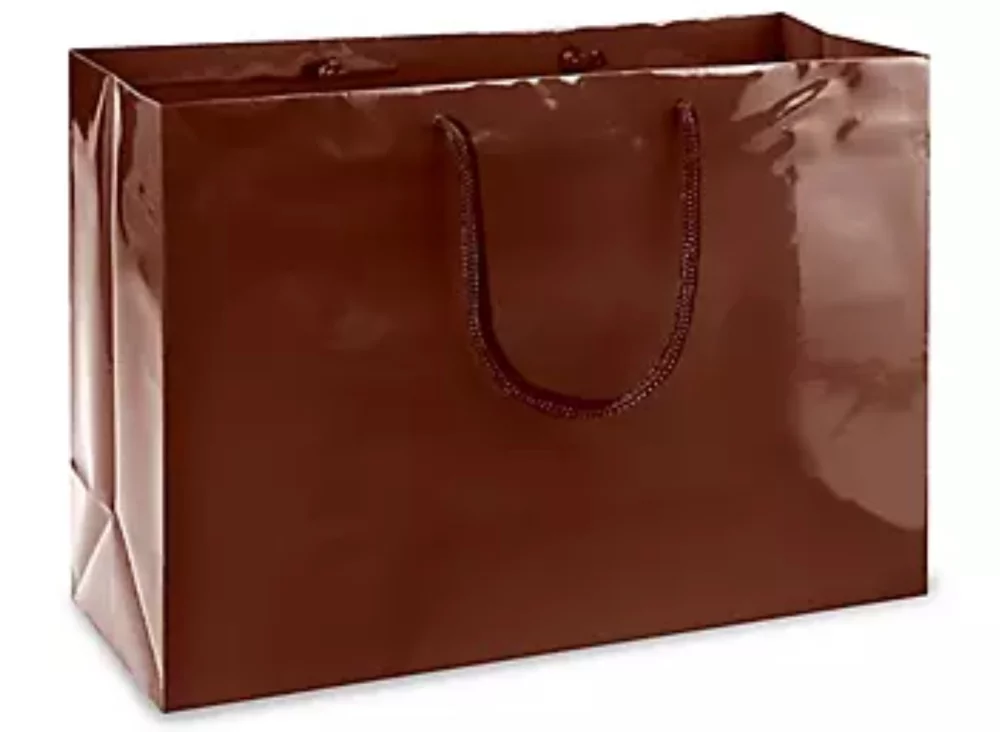 Laminated Gloss Colored Rope Handle Gift Bag (16"x6"x12")