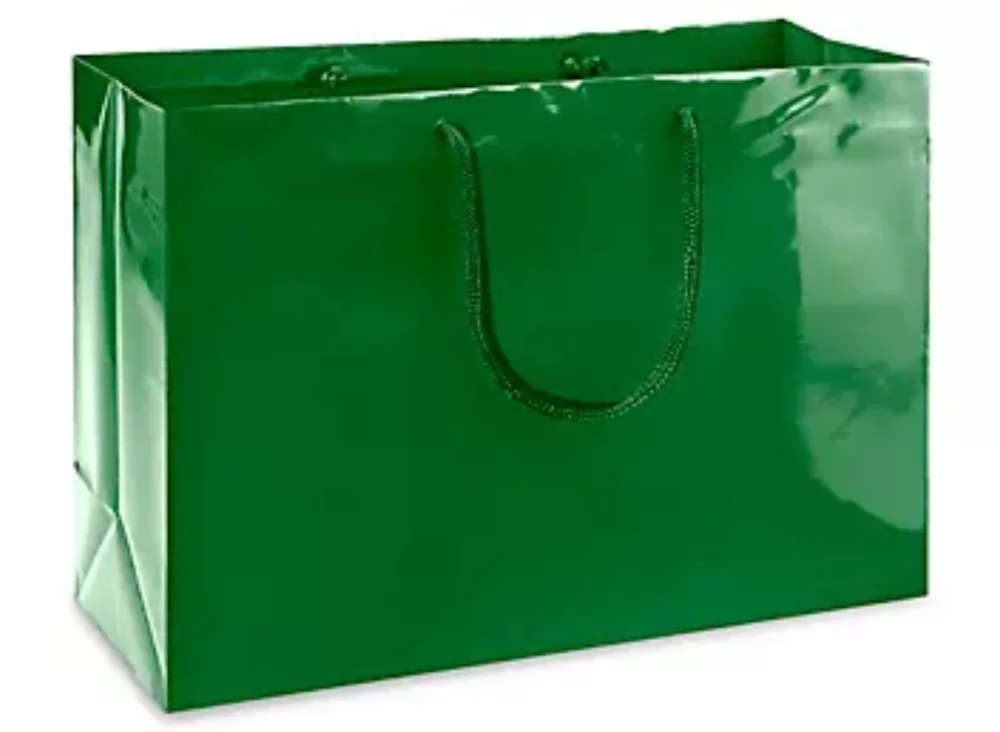 Laminated Gloss Colored Rope Handle Gift Bag (16"x6"x12")