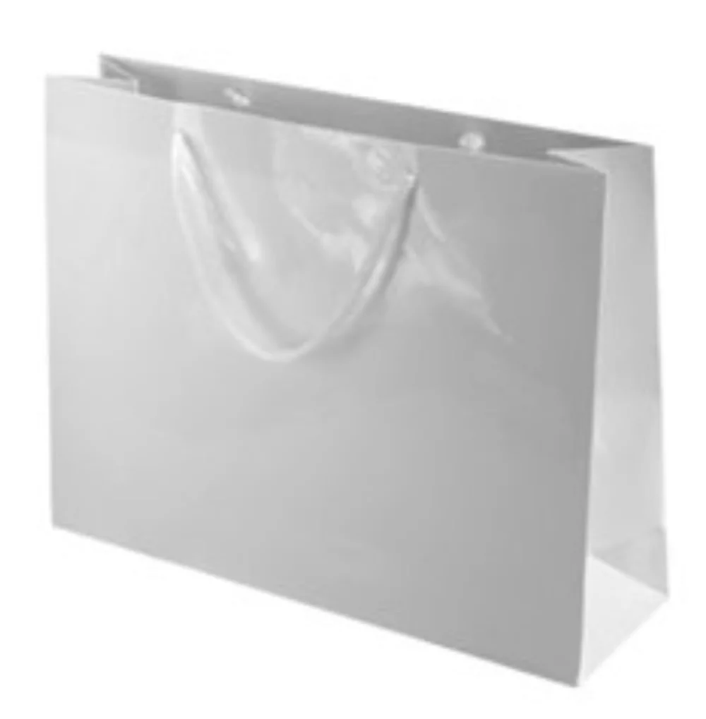 Laminated Gloss White Rope Handle Gift Bag (6.5"x3.5"x6.5")