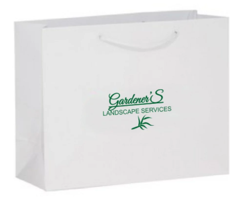 Laminated Matte White Rope Handle Gift Bag (13"x5"x10")