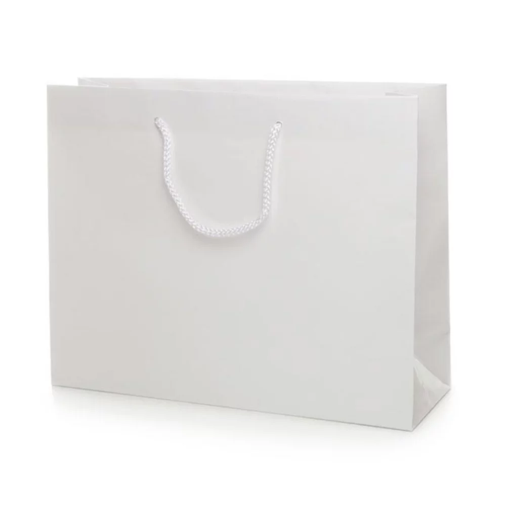 Laminated Matte White Rope Handle Gift Bag (6.5"x3.5"x6.5")