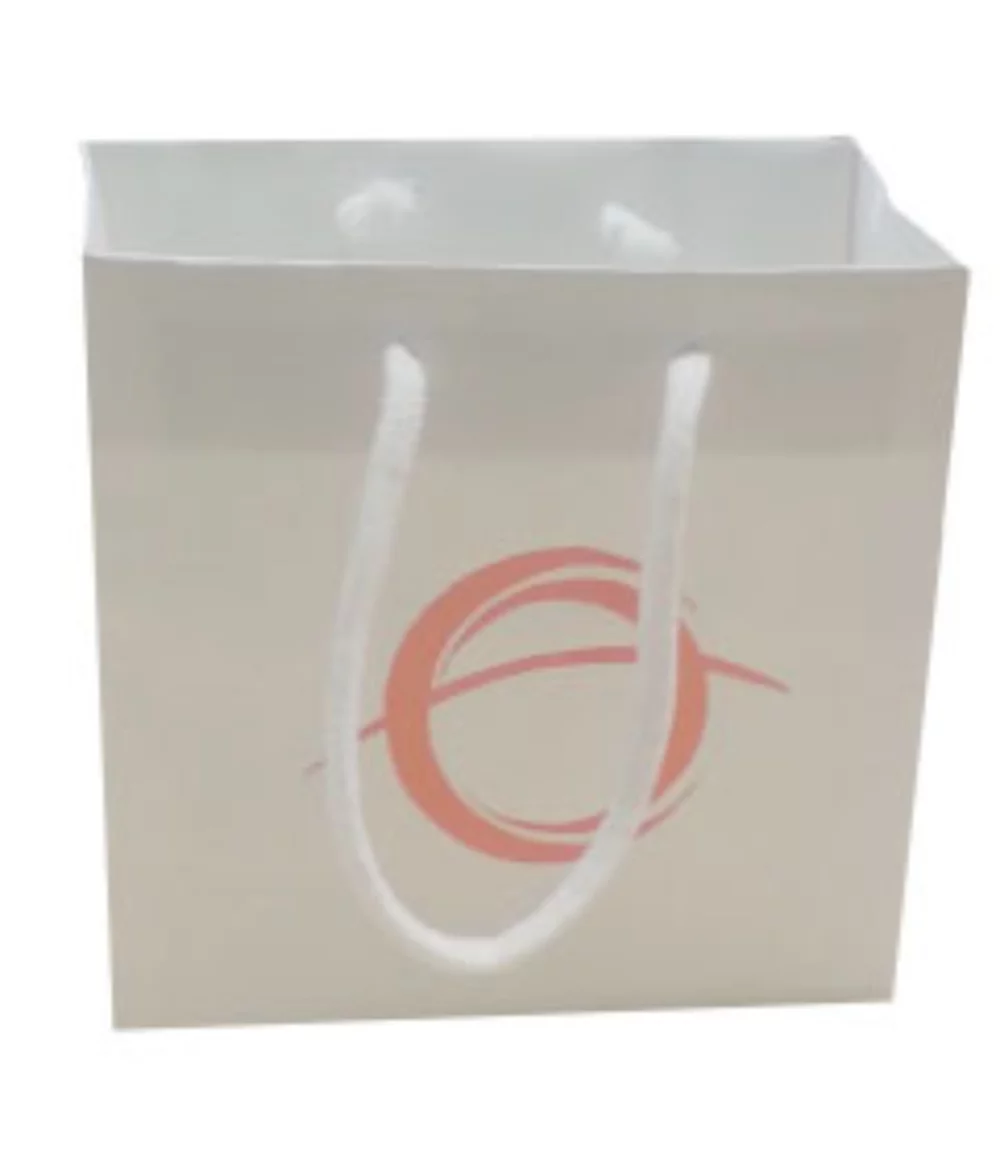 Laminated Matte White Rope Handle Gift Bag (6.5"x3.5"x6.5")