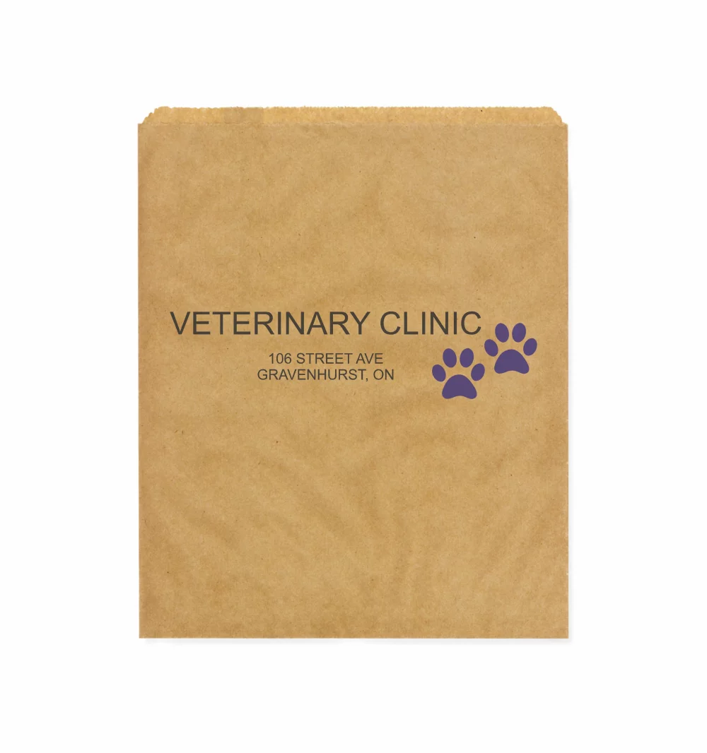 Kraft Notion Bag, 2C1S (11"X14")