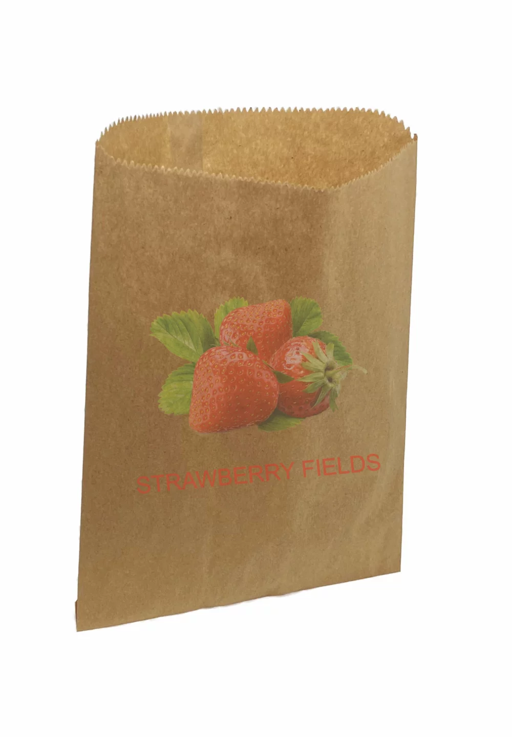 Kraft Notion Bag, DIGITAL (9"X12")