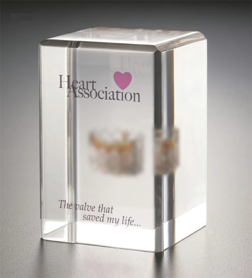 Lucite Standing Rectangular Embedment Award w/ Beveled Edges