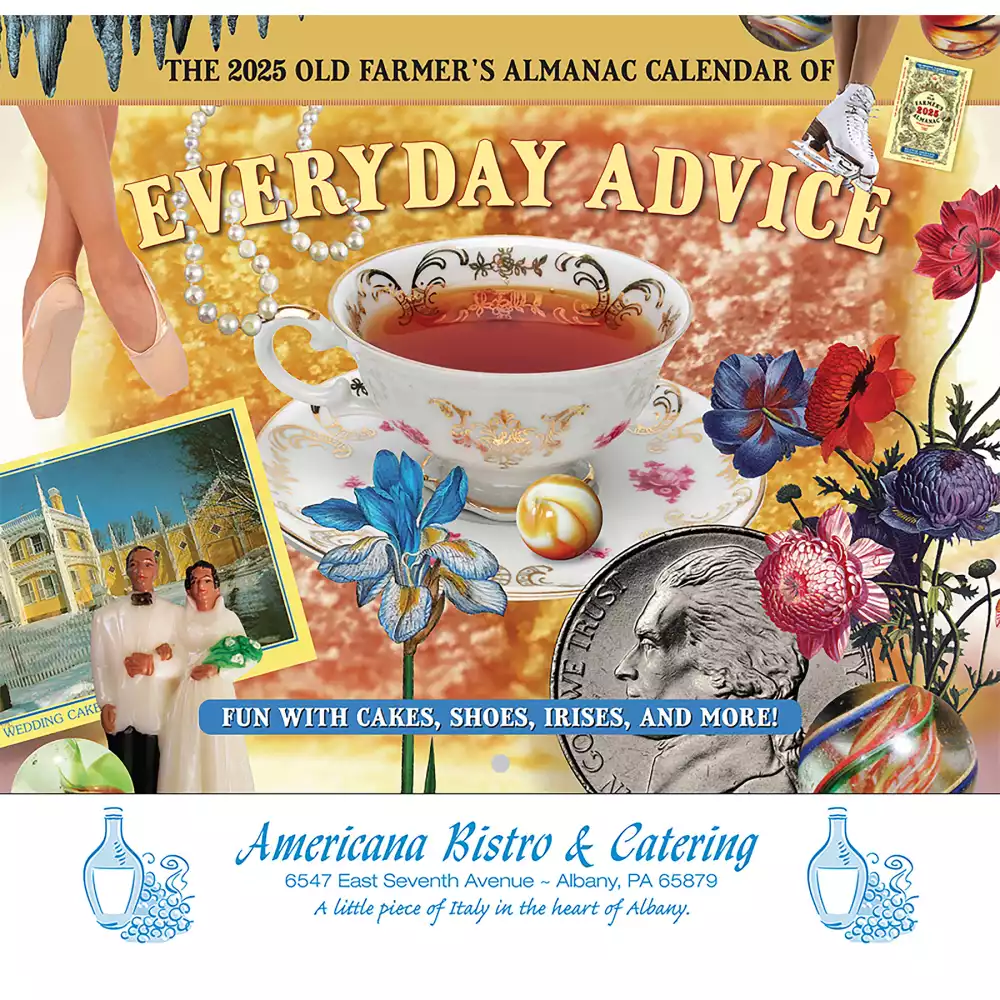 Le vieil almanach du fermier® Conseils quotidiens : 2025 Agrafé