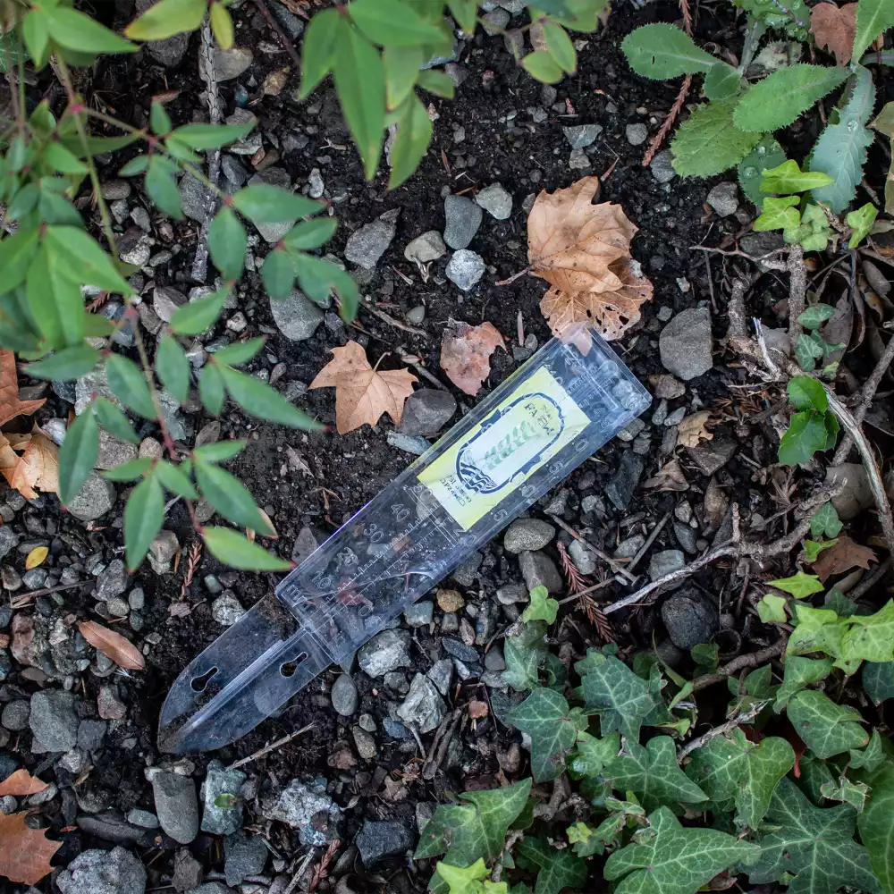 Pluviomètre Drizzler 5"