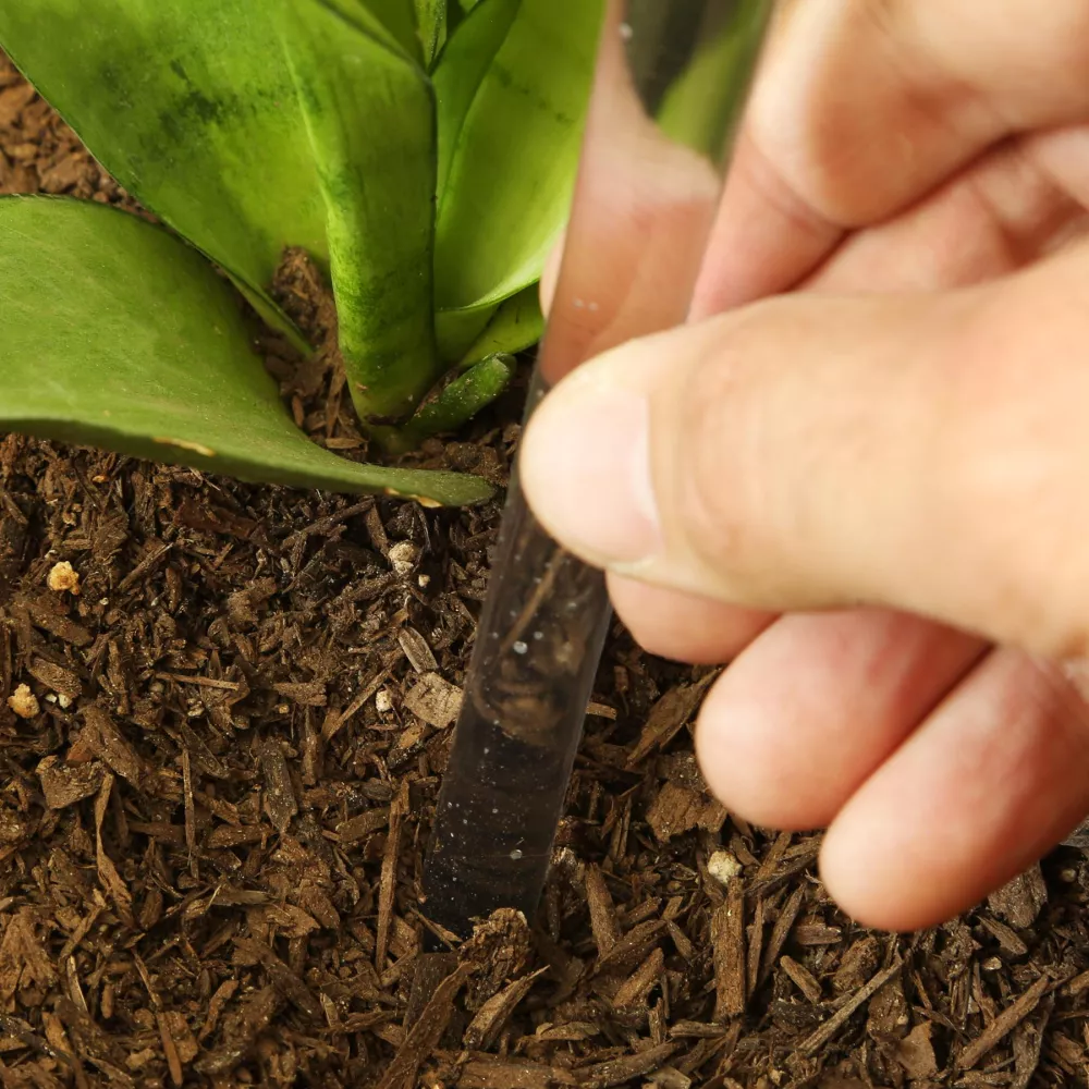 Sphère d'arrosage automatique Evergreen