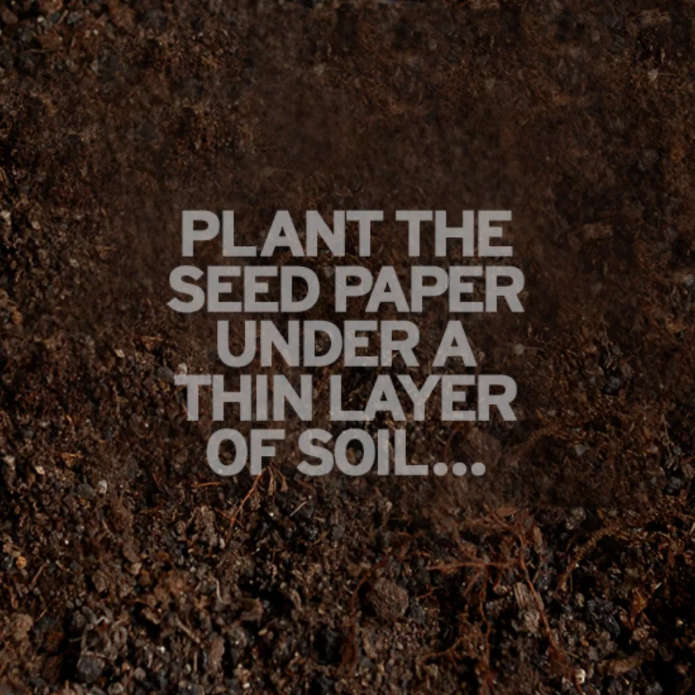 Holiday Letters Plantable Tree Ornaments