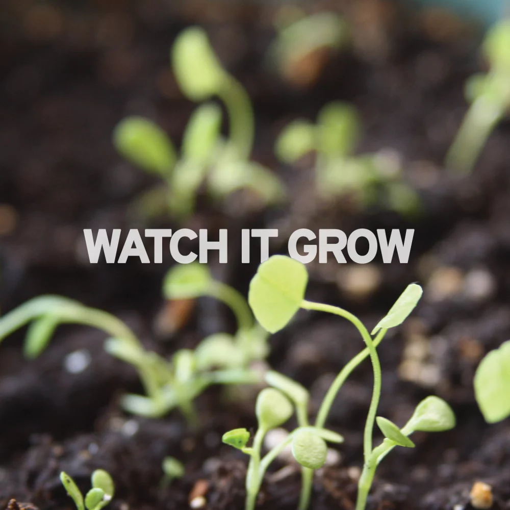 Grow Good Things Ornament