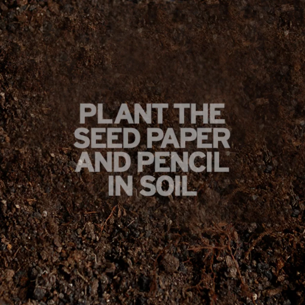 Sprout Pencil With Single-Sided Basil Seed Paper