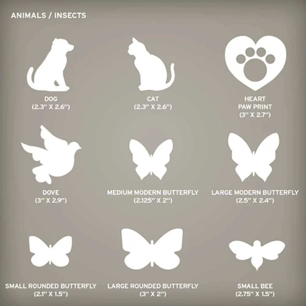 Petite Eco Panel Card with Shape, 2-Sided