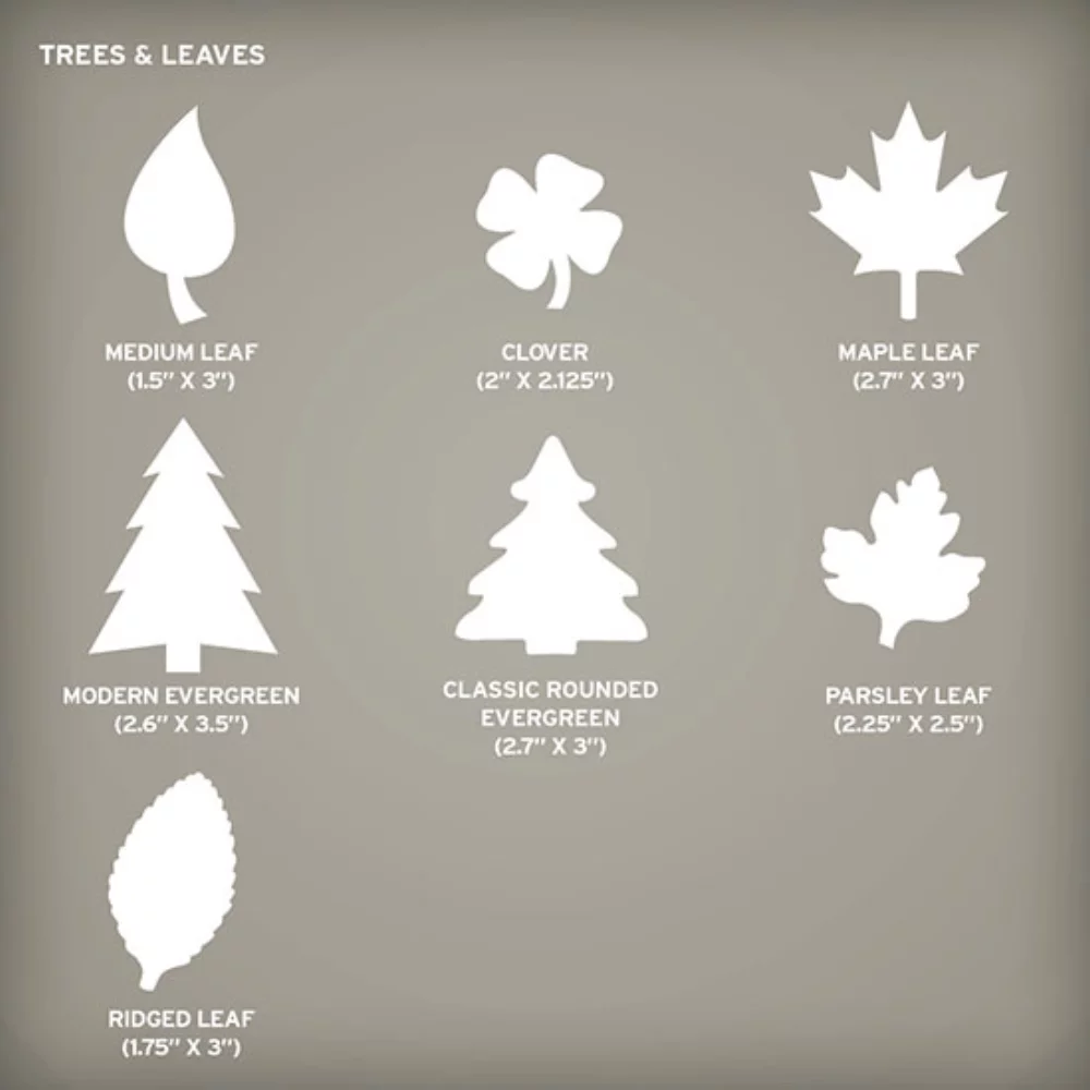 Petite Eco Panel Card with Shape, 2-Sided