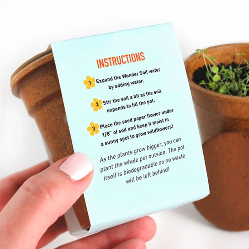 Flower Power Seed Paper Sprouter Kit