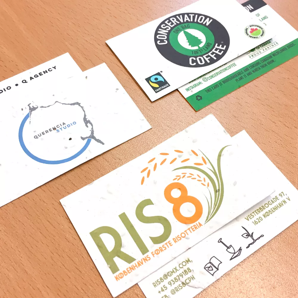 Carte de visite en papier ensemencé, recto-verso