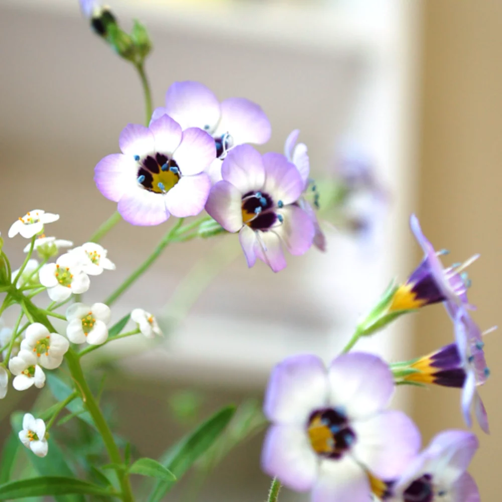 Single Sided Plant Pot Seed Packets