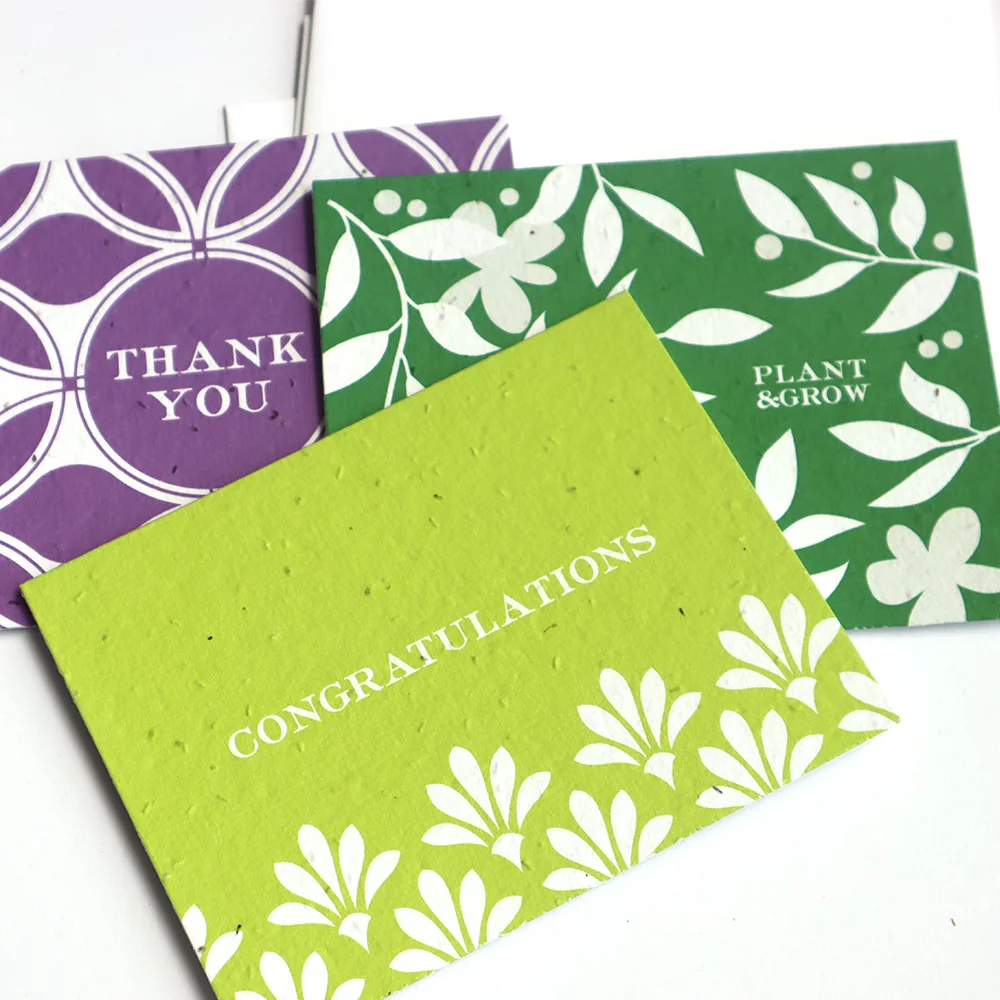 Flourishing Workspace Plantable Gift Kit