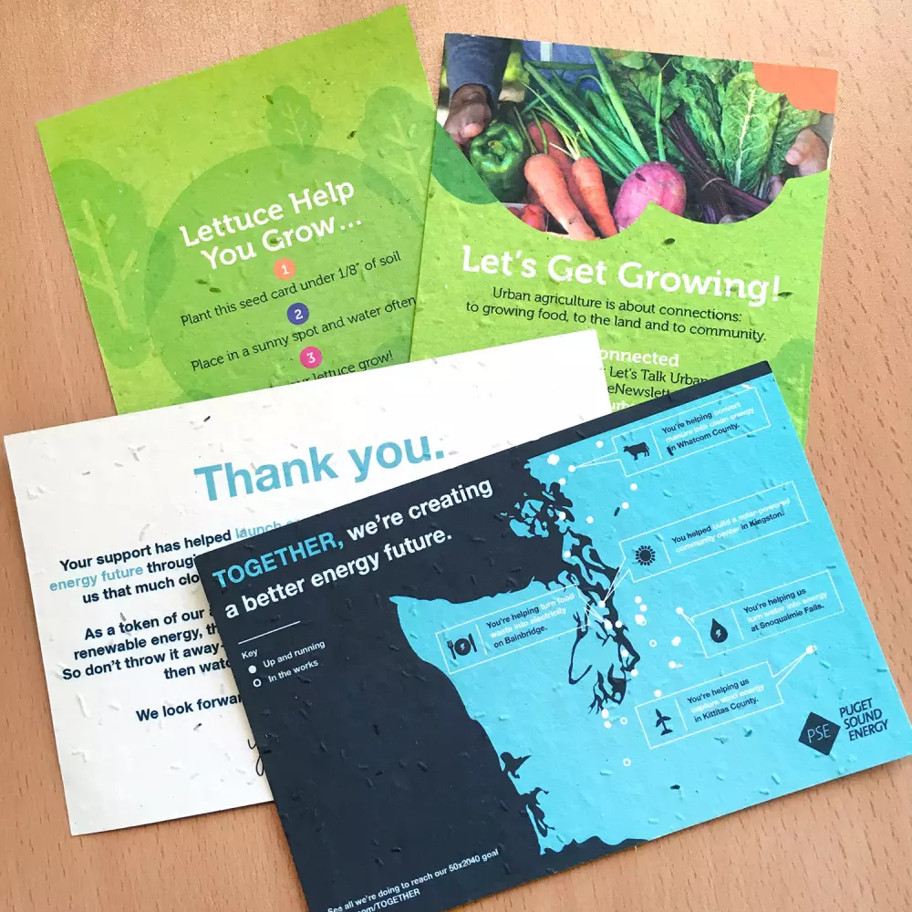 Carte de panneau en papier ensemencé moyen, recto-verso