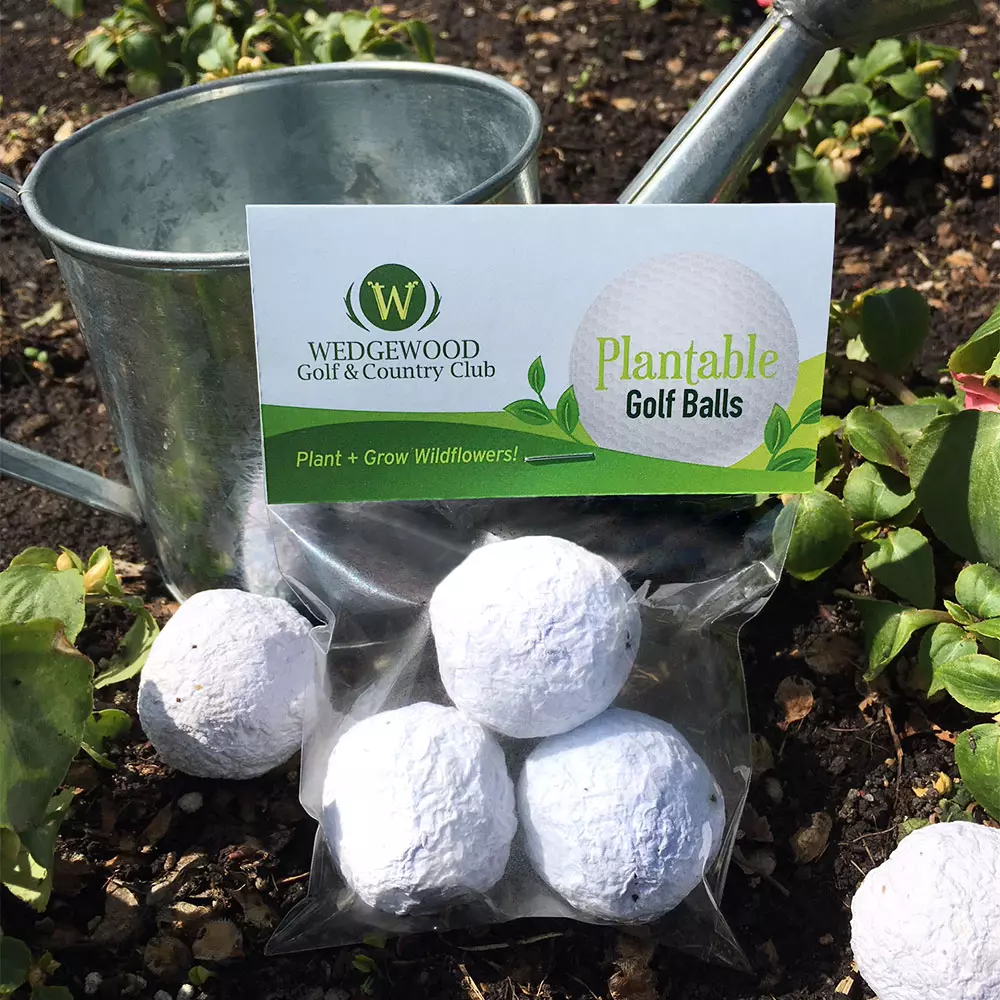 Balles de golf plantables Jour Bombe de graines Cellopack 3