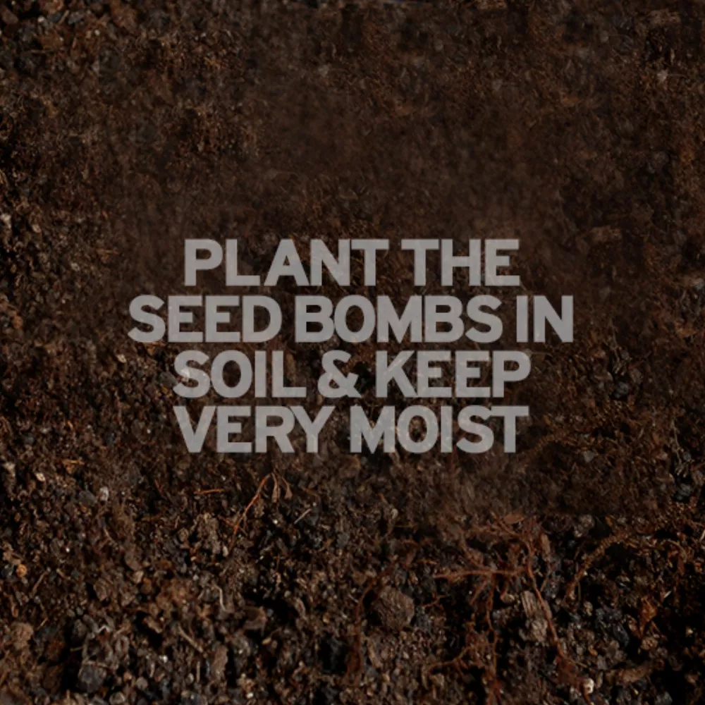 Plantable Golf Balls Day Seed Bombs Cellopack 3