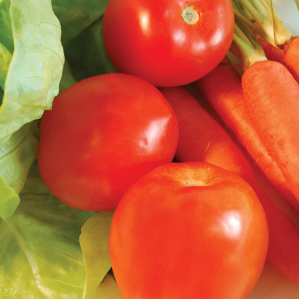 Formes de papier en graines de légumes imprimées, 1 face