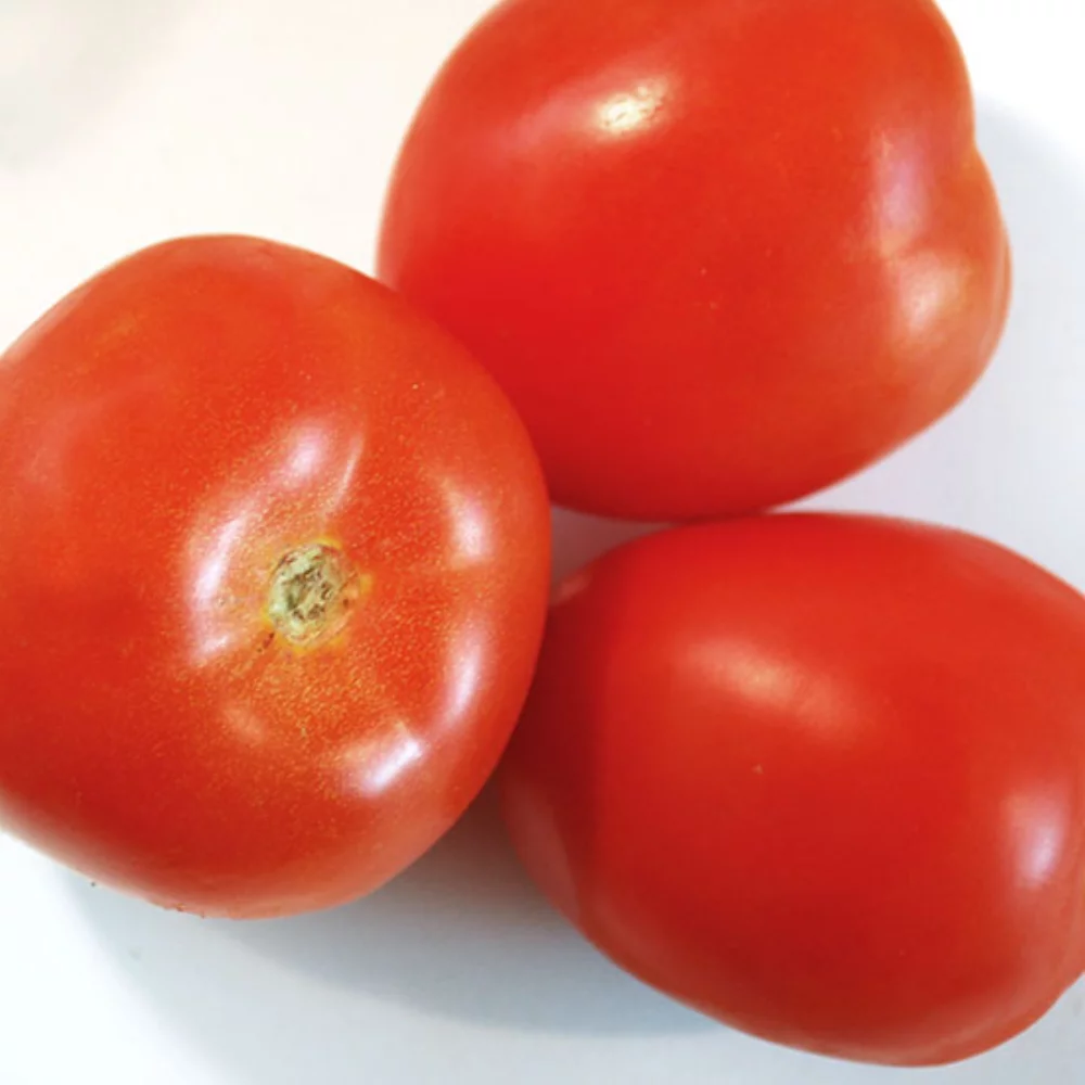 Formes de papier en graines de légumes imprimées, 1 face