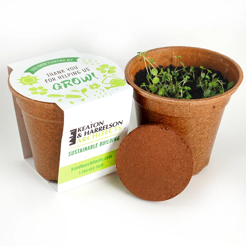 Wildflower Seed Paper Sprouter Kit
