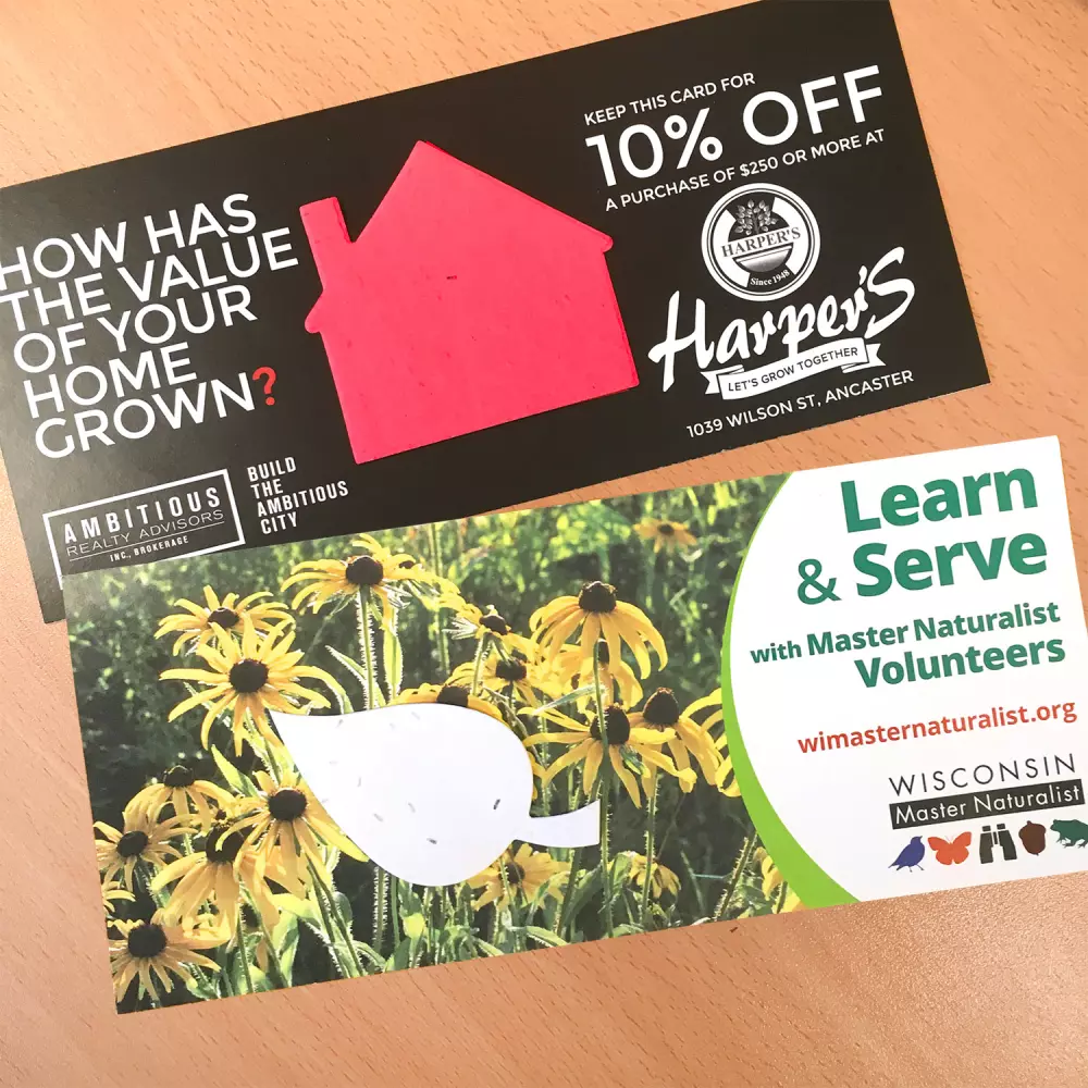 4" x 9" Eco Panel Card with Shape, 1-Sided