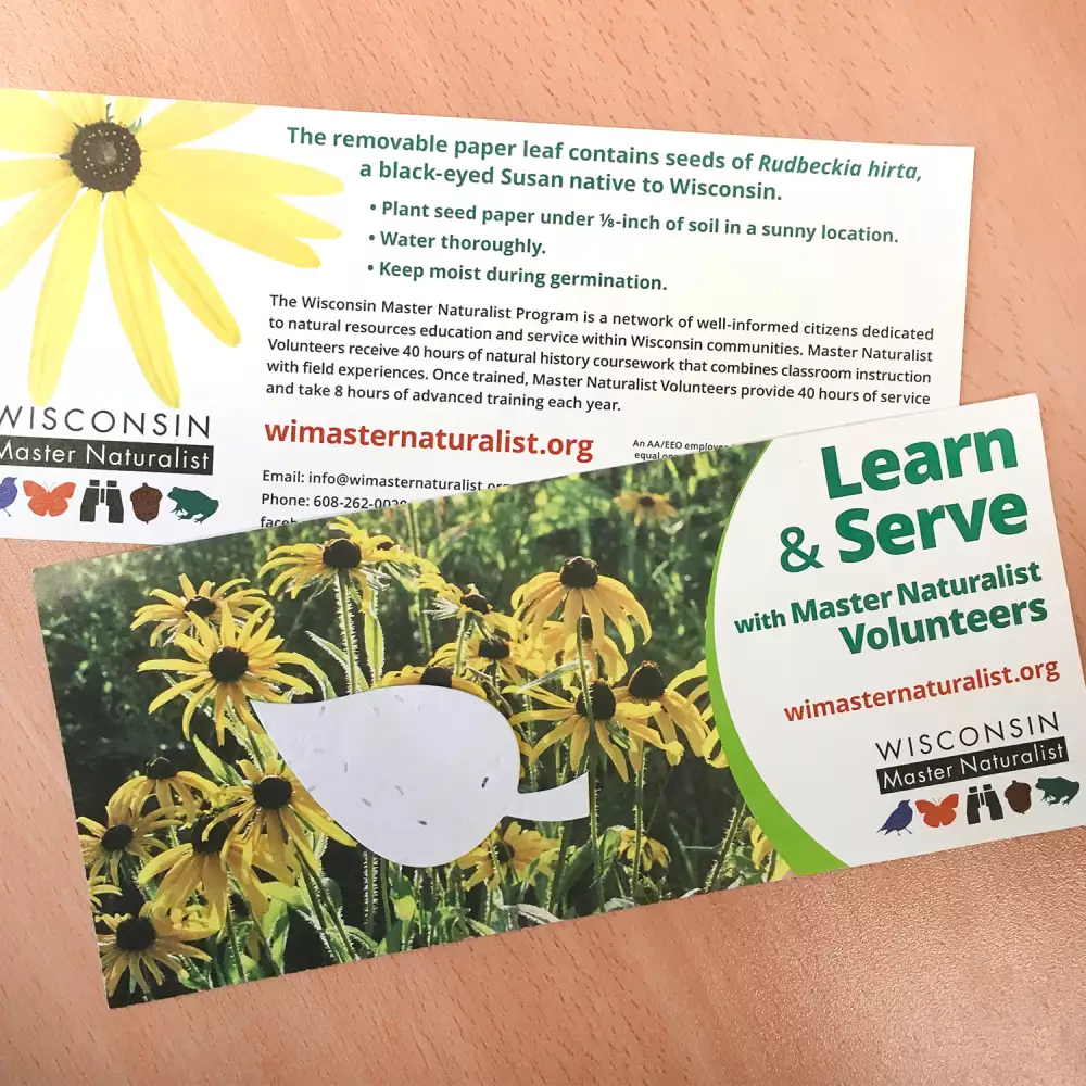 4" x 9" Eco Panel Card with Shape, 2-Sided