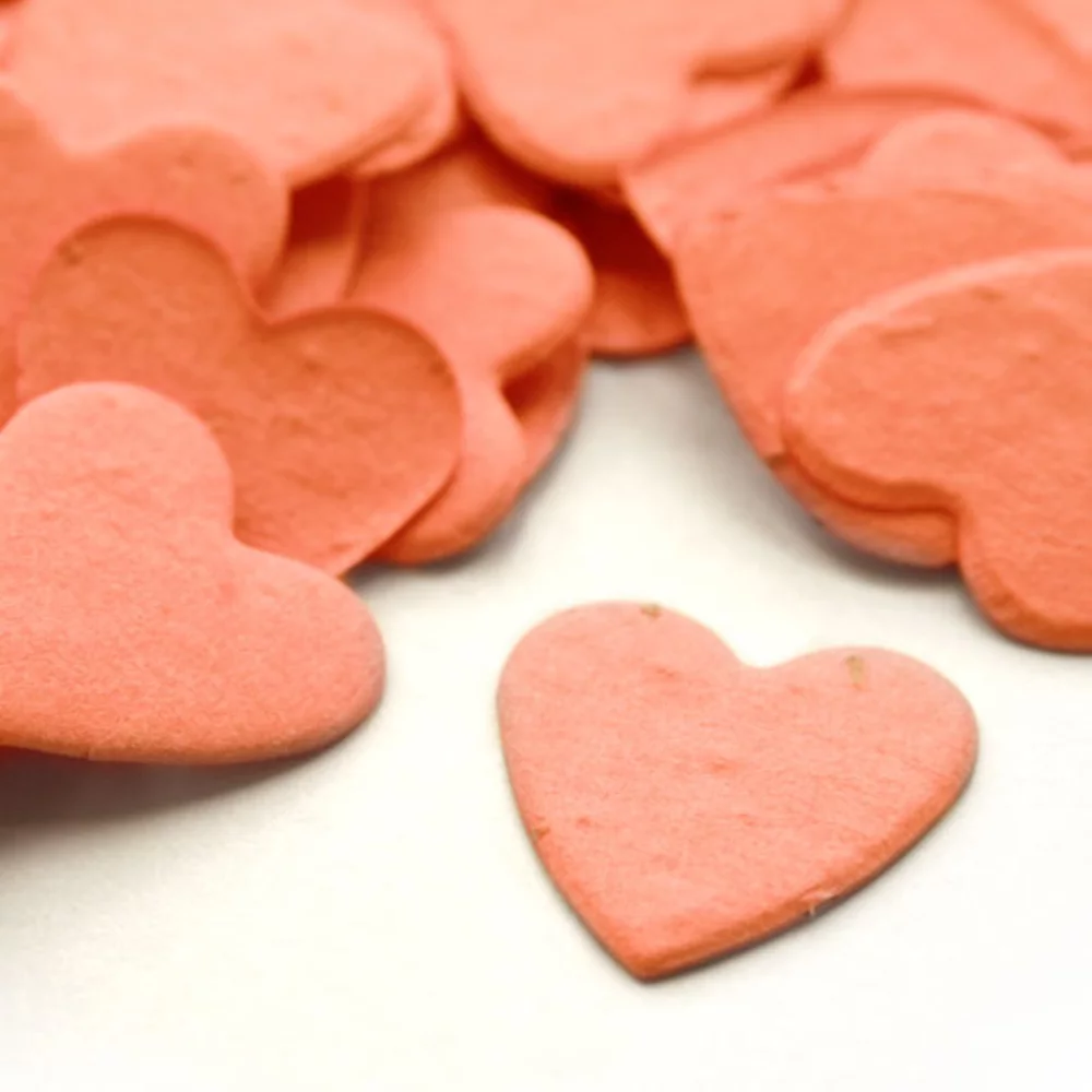 Bulk Heart Shaped Plantable Confetti